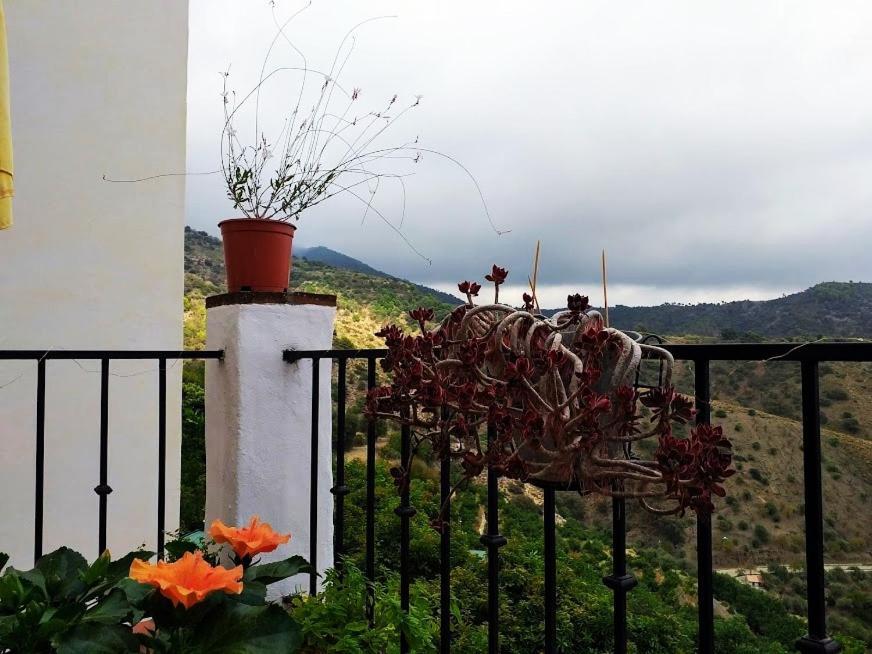 Posada Puente Romano Sedella Exterior foto
